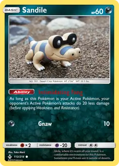 Sandile 113 Normal