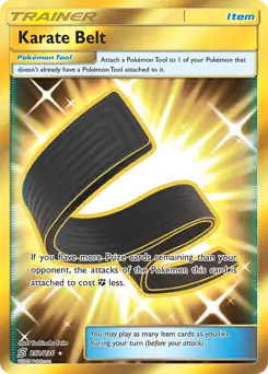 Karate Belt Secret 252 Normal