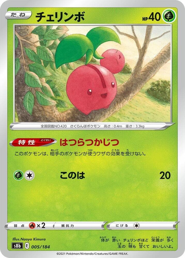 Cherubi 005