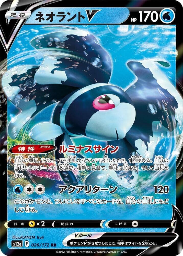 Lumineon V 026