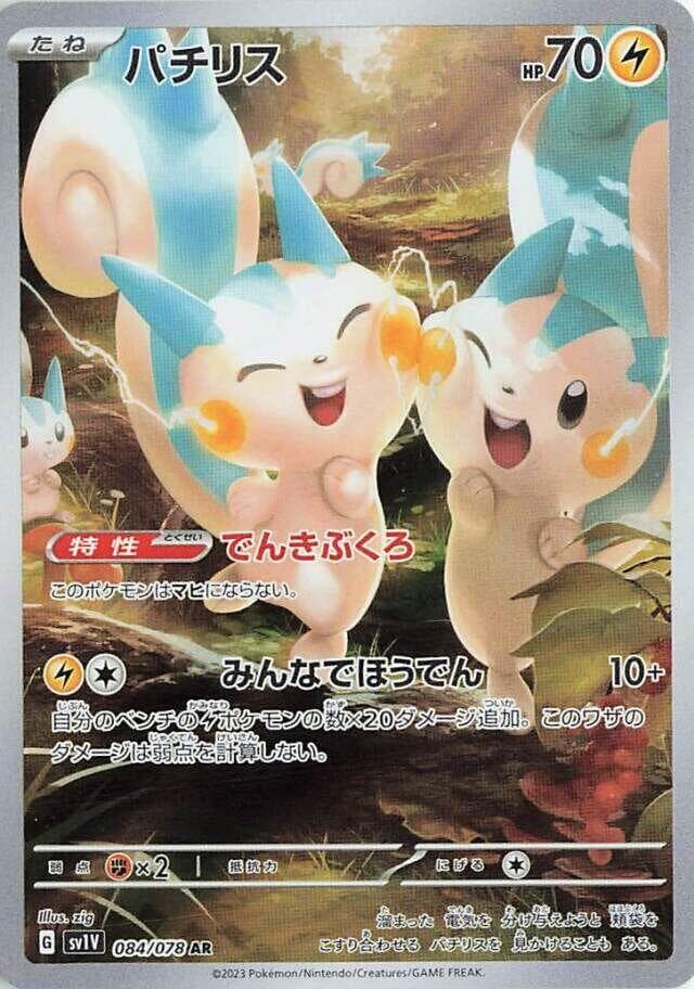 Pachirisu 084