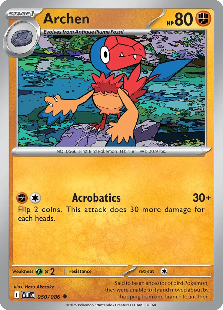 Archen 050