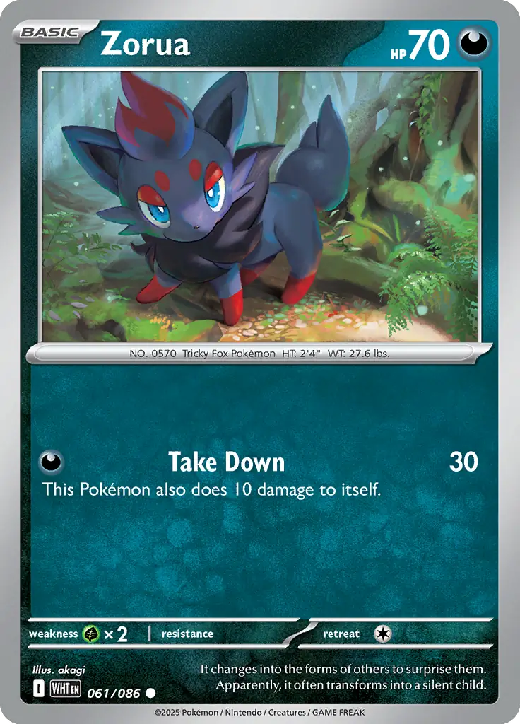 Zorua 061 Normal