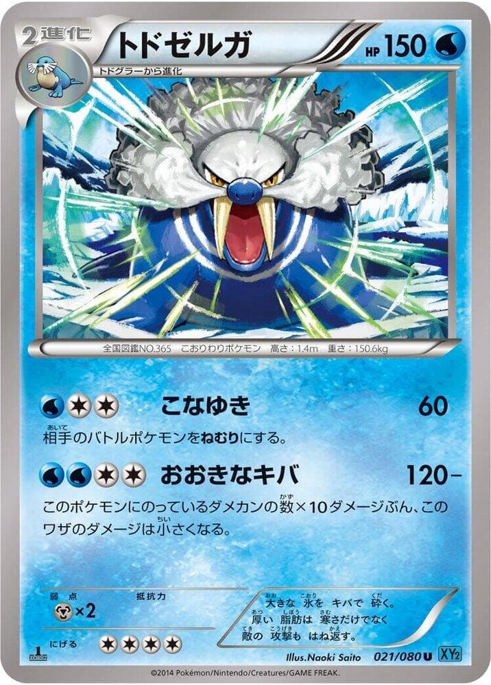 Walrein 021