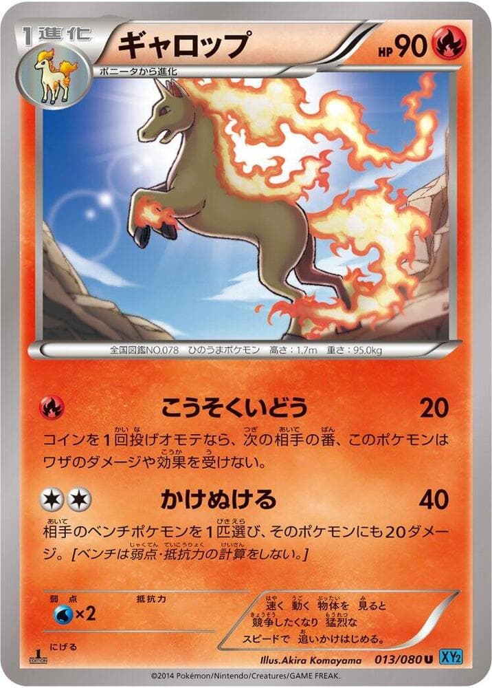 Rapidash 13