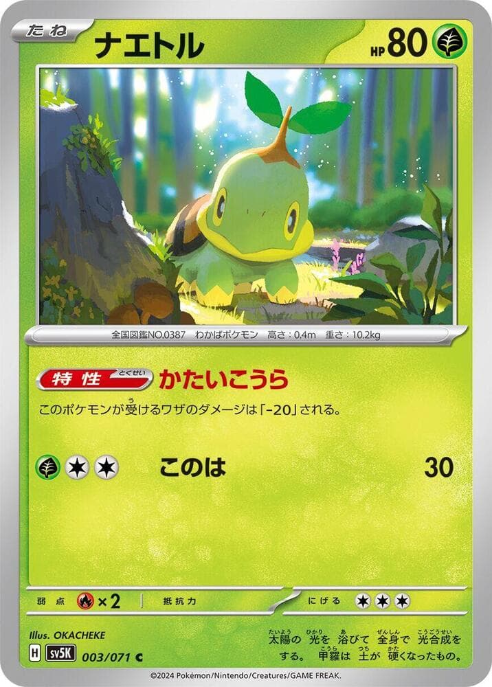 Turtwig 003 Normal
