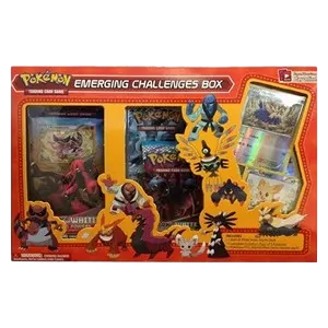 Emerging Challenges Box